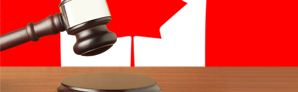 Consultant in regulatory affairs