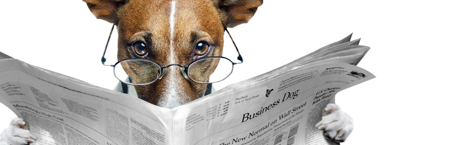 News about SPHIR, importation and exportation